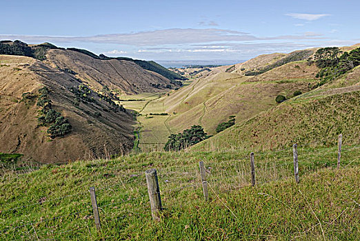 山谷,草场,集水槽,道路,半岛,北岛,新西兰