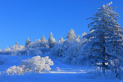 雪岭雾凇风光