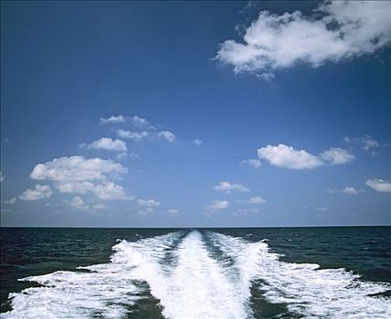 水,快艇,海洋,马尔代夫,印度洋