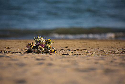 海边的鲜花