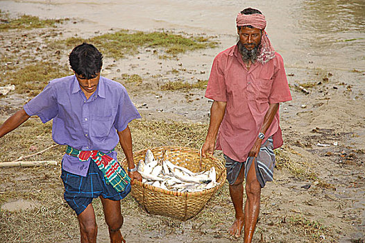 渔民,篮子,满,鱼,鱼市,孟加拉,七月,2005年