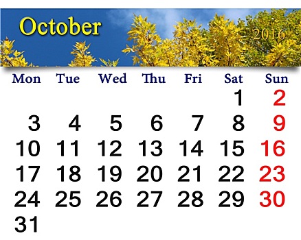 日程,十月,黄叶