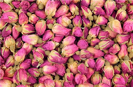 背景,大,数量,干燥,芽,粉色,茶,玫瑰