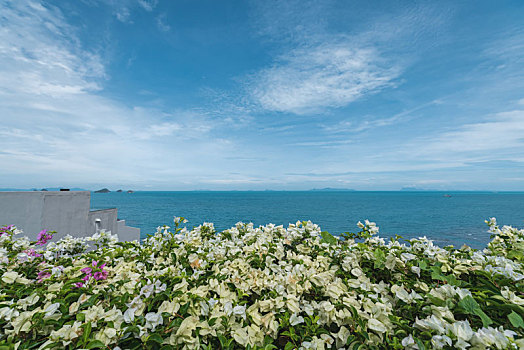 热带海岛自然风光,泰国苏梅岛海景
