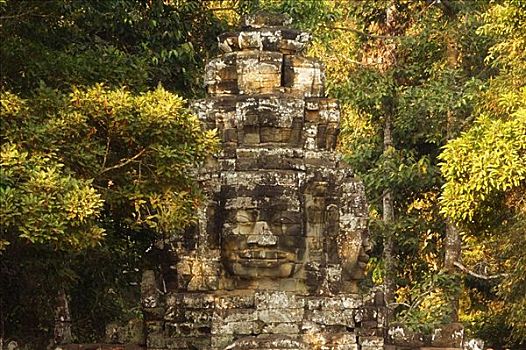 石头,脸,庙宇,收获,柬埔寨