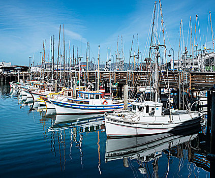 拖船,港口,渔民,码头,旧金山,加利福尼亚,美国,北美