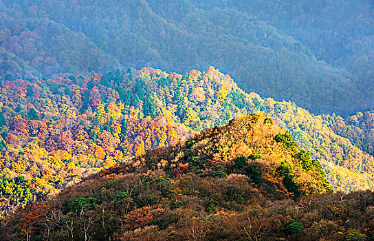 光雾山香炉峰风光