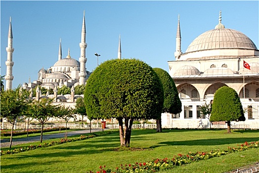 蓝色,苏丹艾哈迈德清真寺,清真寺,伊斯坦布尔
