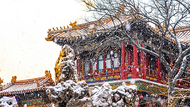 故宫之雪