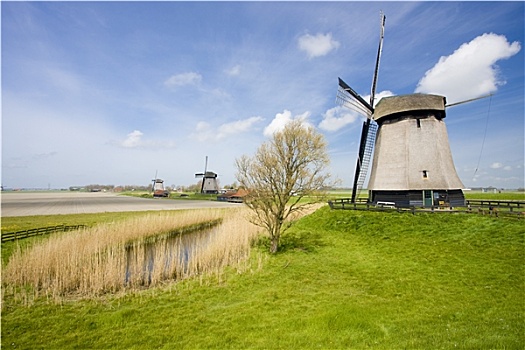 风车,靠近,阿克马镇,荷兰