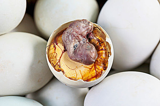 蛋,胚胎