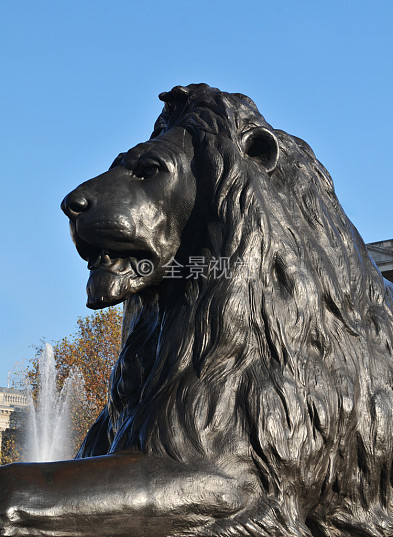 特拉法加广场狮子图片