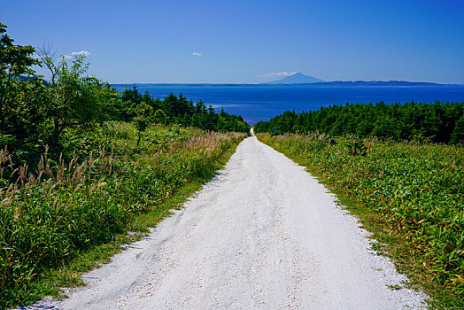 白色,道路