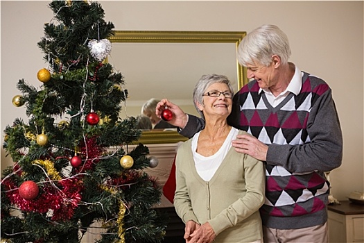 老年,夫妻,装饰,圣诞树