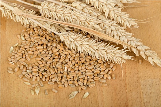 堆,有机,全麦,小麦,颗粒,穗