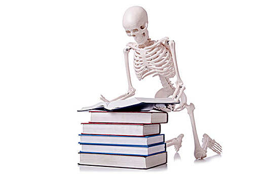 骨骼,读书,白色背景