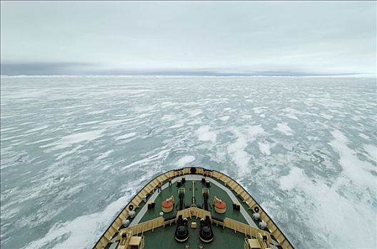 俄罗斯,破冰船,冰,南极