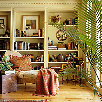 躺椅,正面,合适,架子,传统,室内