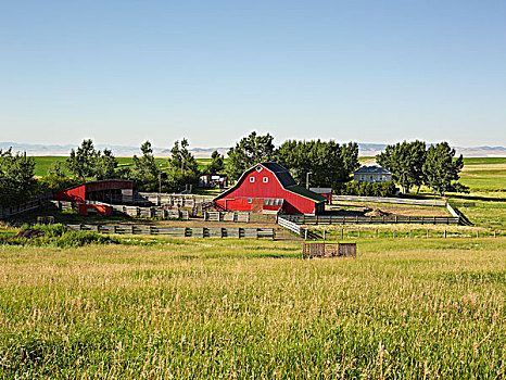 农场,夹锭钳,溪流,艾伯塔省,加拿大