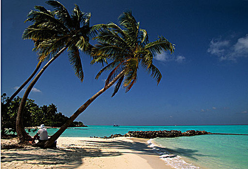 棕榈海滩,阿里环礁,马尔代夫,亚洲
