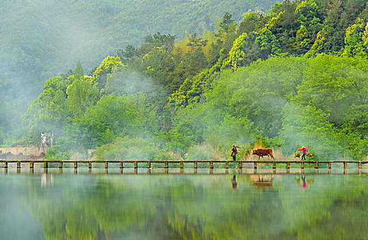 丽水风光