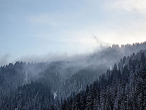 冬季的乌鲁木齐南山