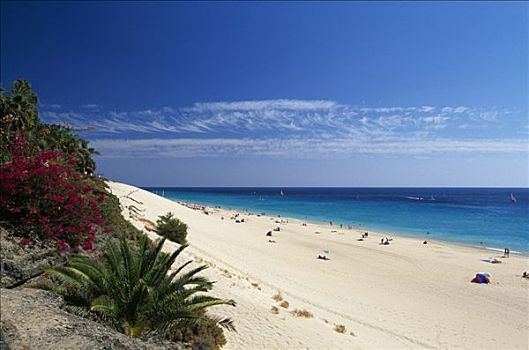 海滩,富埃特文图拉岛,加纳利群岛,西班牙,欧洲