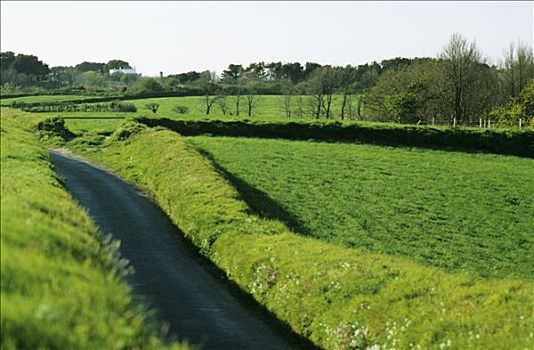 岛屿,小,道路,乡野