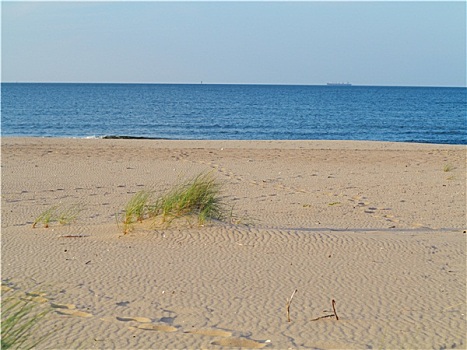 波罗的海,草,沙丘,前景