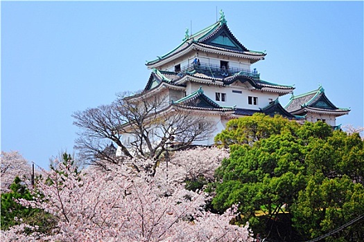 日本,城堡,和歌山