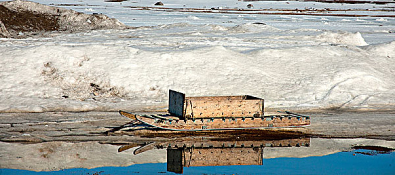 坐,巴芬岛,北极,加拿大
