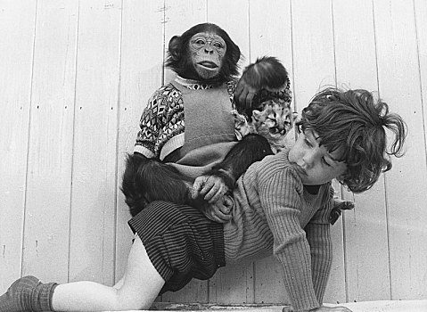 孩子,黑猩猩,幼狮,背影,英格兰,英国