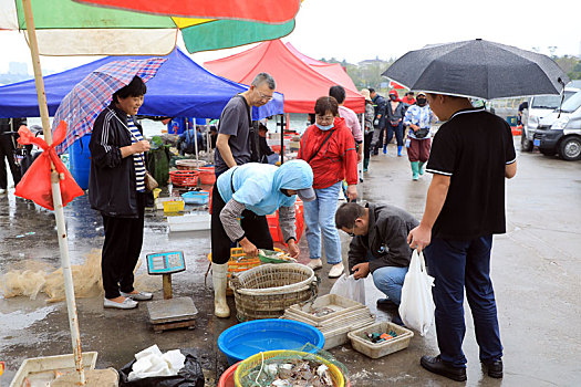 市民冒雨抢,鲜,渔码头变身,海上街市,真热闹