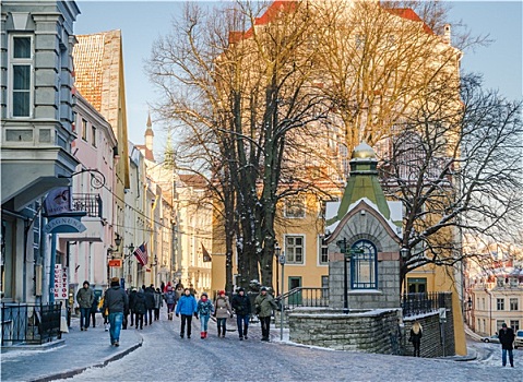塔林,爱沙尼亚,街道,老城,建筑,首都