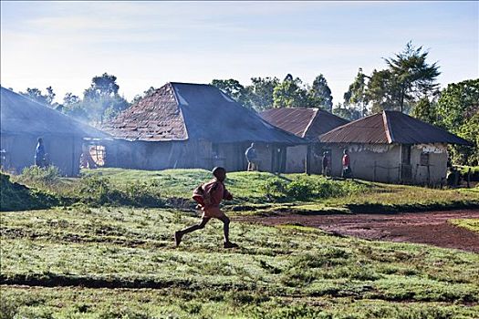 肯尼亚,地区,早晨,自然,男孩,跑,学校