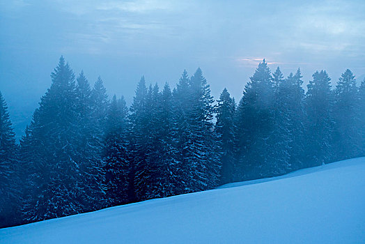 冬季风景,兰格丽斯,巴伐利亚阿尔卑斯山,上巴伐利亚,巴伐利亚,德国