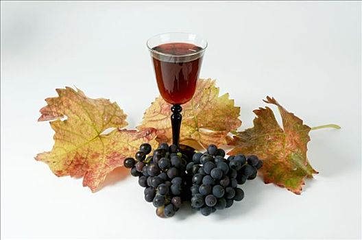 黑葡萄,品种,叶子,红酒杯