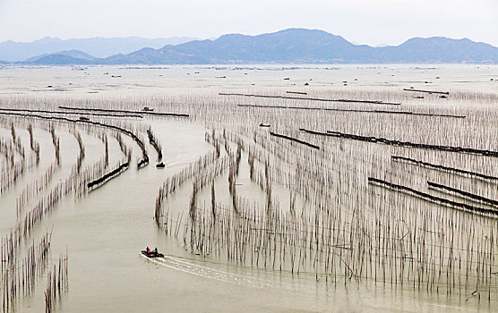 海田