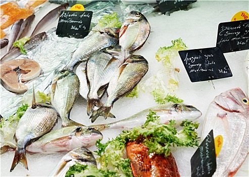 鲜鱼,法国,市场
