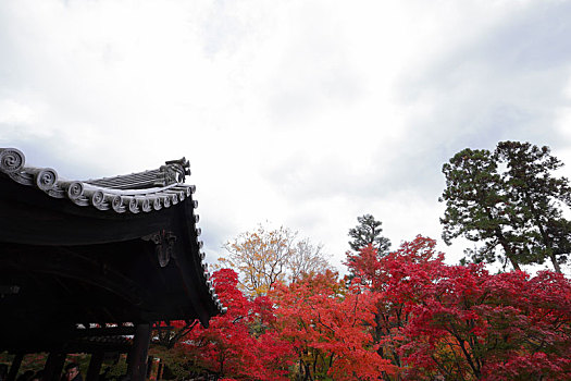 日本京都东福寺