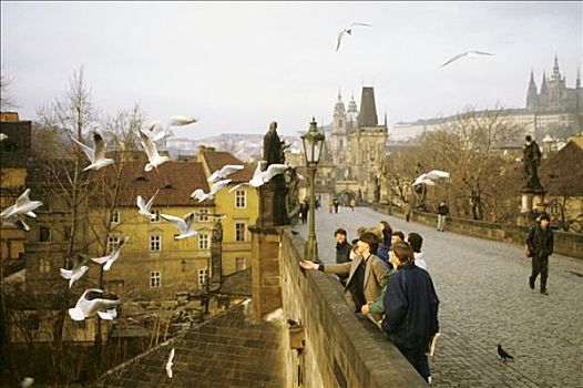 捷克共和国,布拉格,查理大桥,路人,海鸥,冬天