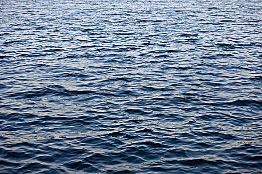 西湖湖水