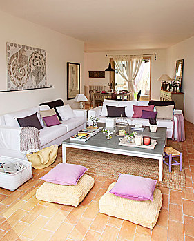 垫子,紫色,白色背景,沙发,鲜明,房间,赤陶,地面