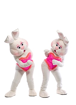 两个,兔女郎,吉祥物,服饰