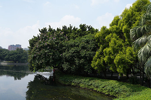 羊城广州国庆假日流花湖公园美丽景色