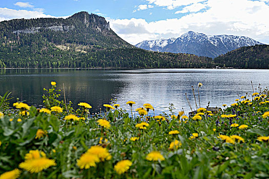 风景,湖,山,施蒂里亚,奥地利