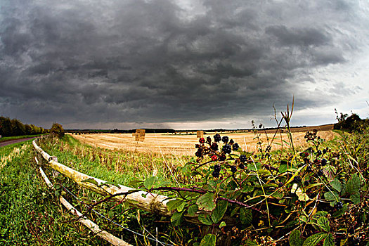 木质,栏杆,边缘,农田,乌云,诺森伯兰郡,英格兰