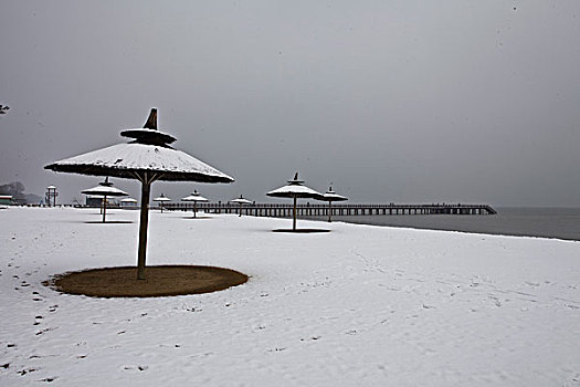 雪,海边,下雪,大海,沙滩,阳伞,安静,干净,秦皇岛,北戴河