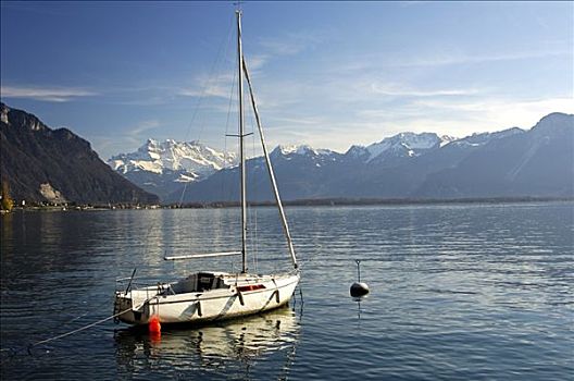 停泊,帆船,日内瓦湖,蒙特勒,瑞士