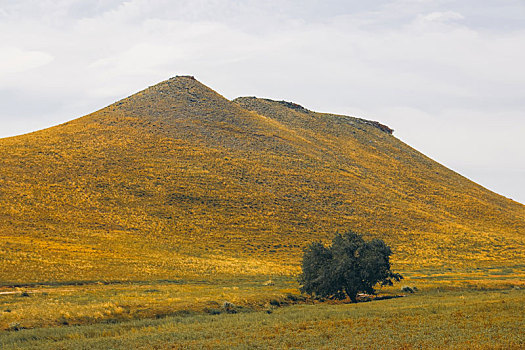 内蒙古自治区平顶山锡林郭勒草原火山地质公园